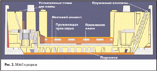 SKiM5 в разрезе