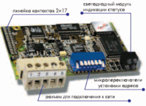 Внешний вид модуля Anybus-S